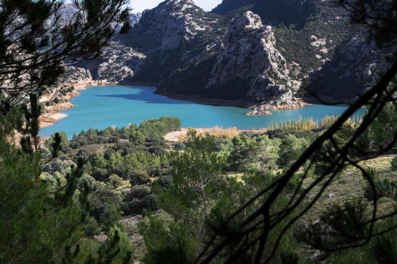 Del Llac By Homevillas360 Ferienhaus *